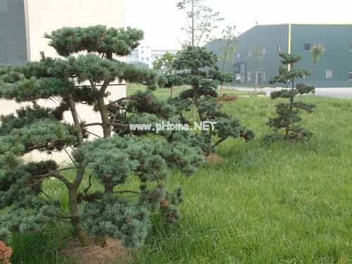 公司景觀角.jpg